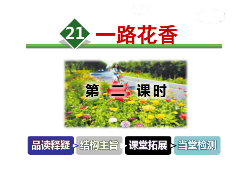 苏教版《一路花香》语文PPT课件(6篇)