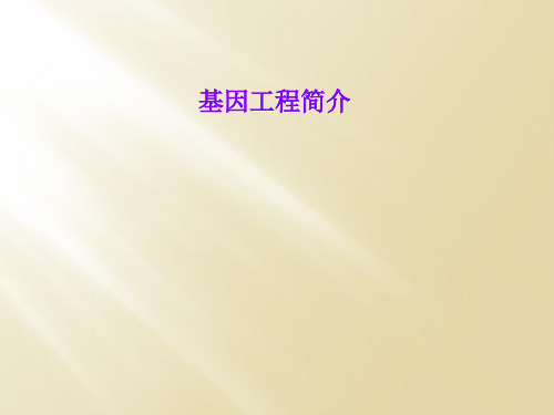基因工程简介