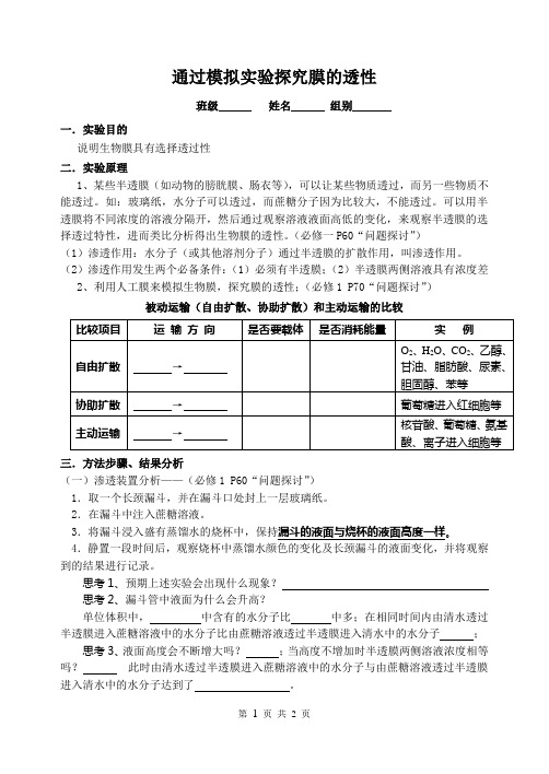 通过模拟实验探究膜的透性