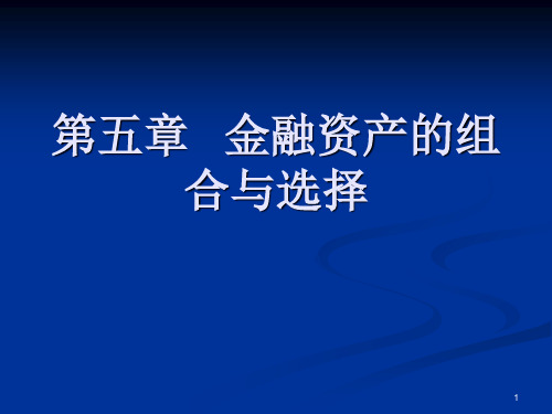 第五章 金融资产组合与选择PPT课件
