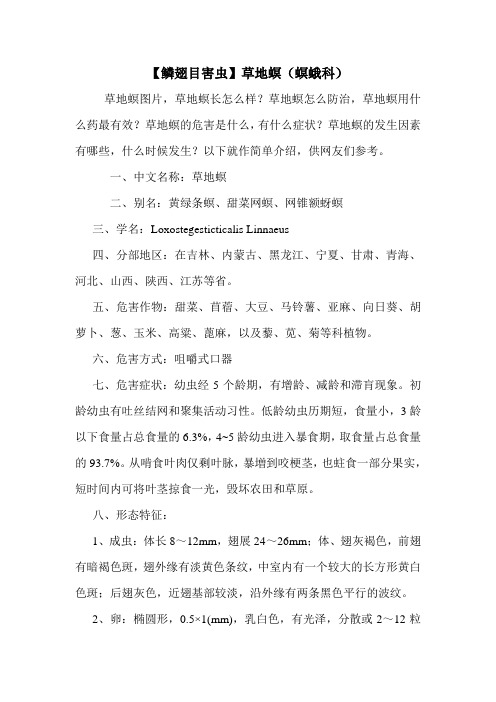 【鳞翅目害虫】草地螟(螟蛾科)