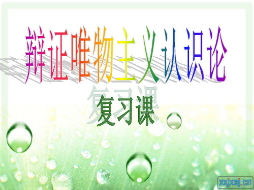 哲学认识论复习课件