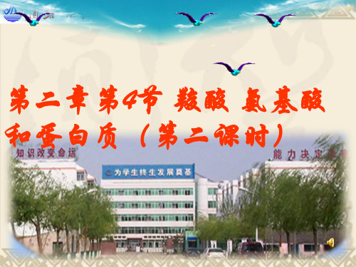 酯的化学性质--水解反应