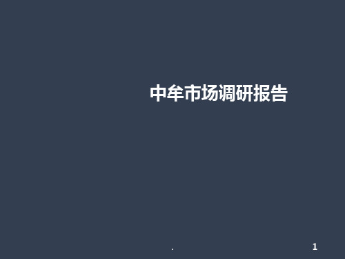 中牟市场调研报告PPT课件