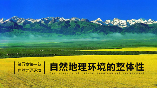 人教版高一地理必修1 5.1 自然地理环境的整体性(共17张PPT)