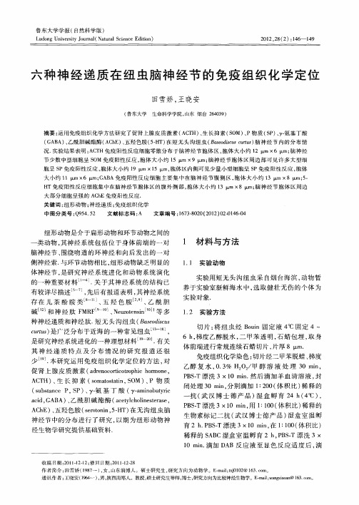 六种神经递质在纽虫脑神经节的免疫组织化学定位