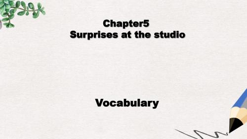 广东九年级英语全册 Chapter 5 Surprises at the studio Vocabulary教学课件 牛津深圳版