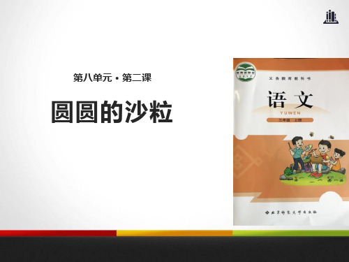 《圆圆的沙粒》PPT