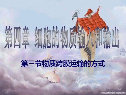 人教版高中生物必修一第4章第3节物质跨膜运输的方式  课件(共39张PPT)精选优质 课件