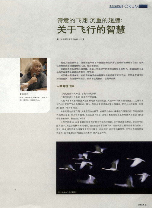 诗意的飞翔 沉重的翅膀：关于飞行的智慧
