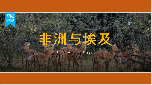 高中区域地理之非洲