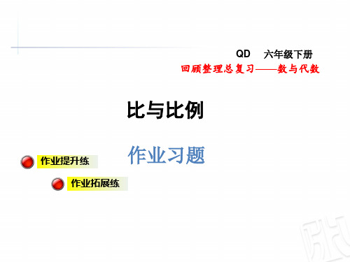 六年级下册数学课件比与比例总复习习题｜青岛版(秋) (共12张PPT)