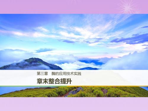 高二苏教版生物选修一课件章末整合提升第三章 酶的应用技术实践
