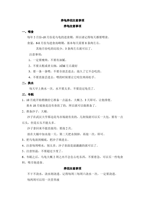 养龟养花注意事项