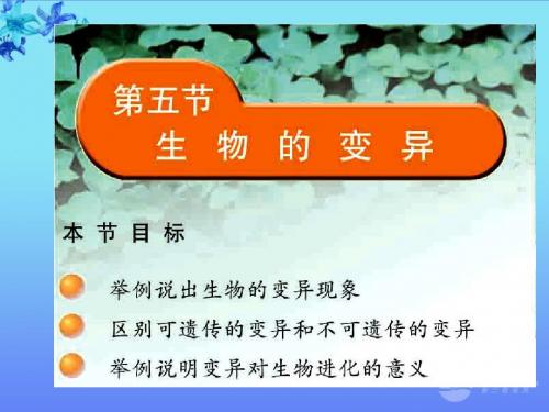 生物的变异