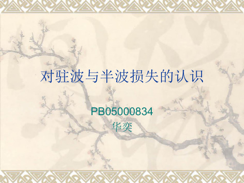 对驻波与半波损失的认识-精选