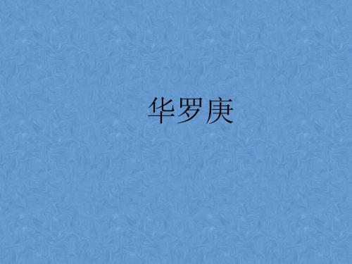 华罗庚课件