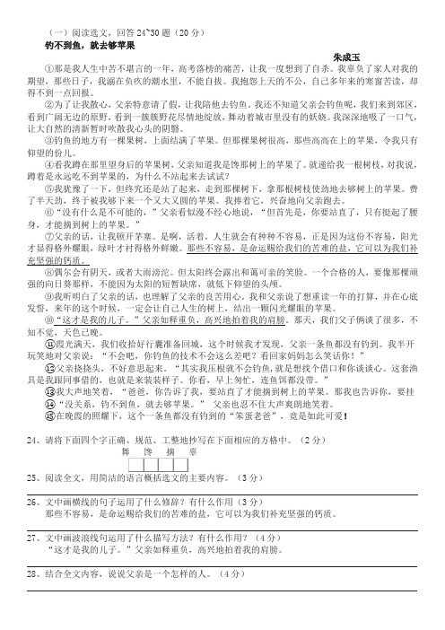 朱成玉《钓不到鱼,就去够苹果》阅读练习及答案