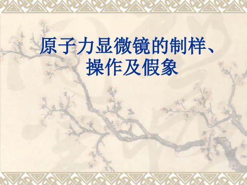 原子力显微镜的制样、操作及假象