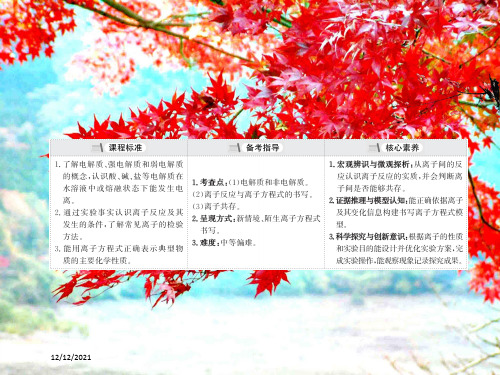 高考化学一轮复习3离子反应课件高三全册化学课件