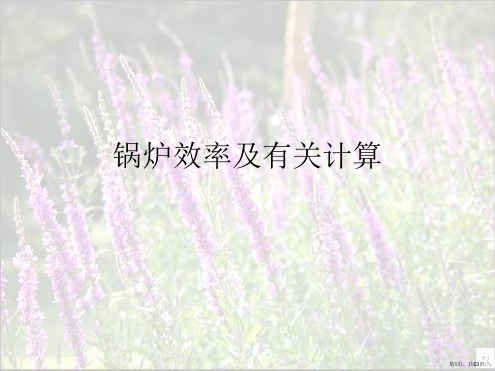 锅炉效率及有关计算