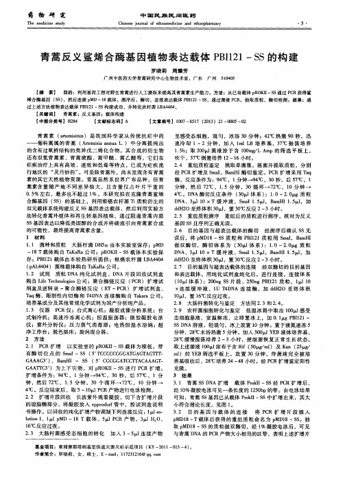 青蒿反义鲨烯合酶基因植物表达载体PBI121-SS的构建