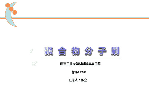 聚合物分子刷
