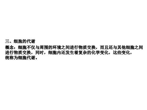 高中生物会考 专题复习 细胞代谢ppt (共45页)