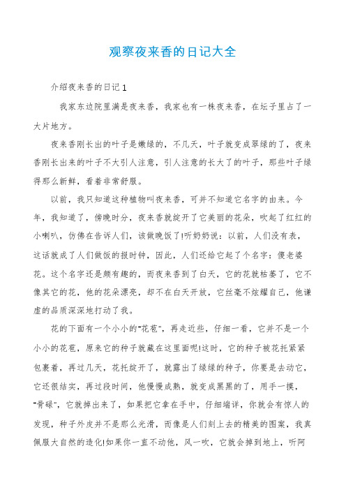 观察夜来香的日记大全