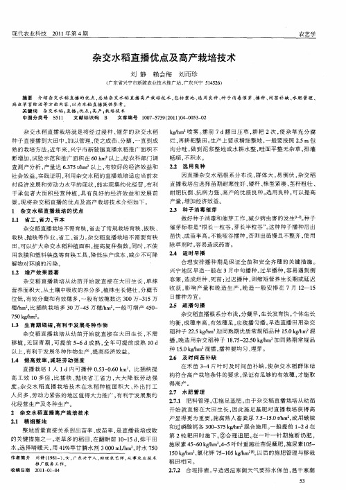 杂交水稻直播优点及高产栽培技术