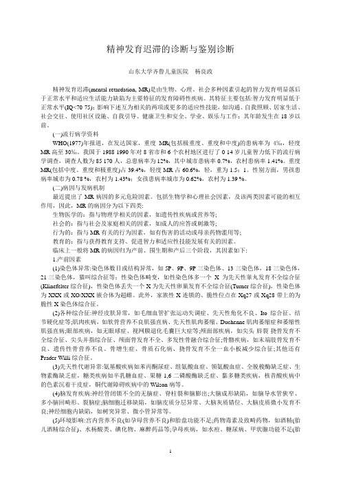 精神发育迟滞的诊断