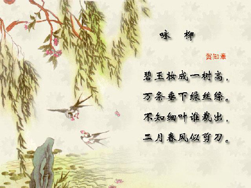 七年级语文下册 第二单元《柳叶儿》(一)课件 苏教版