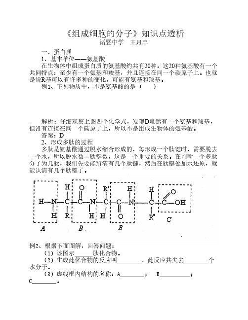 组成细胞的分子知识点透析