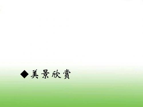 公开课-画家乡的风景