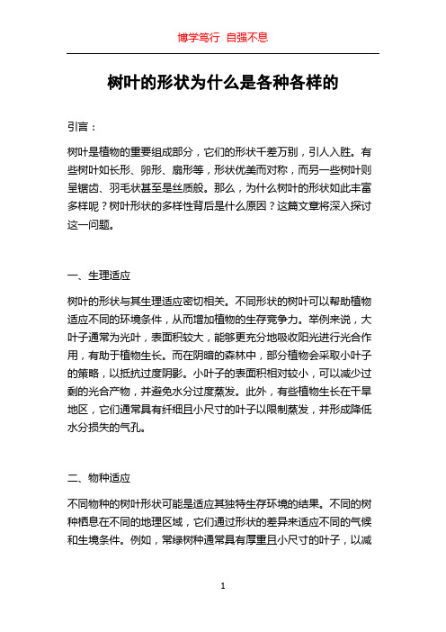 树叶的形状为什么是各种各样的