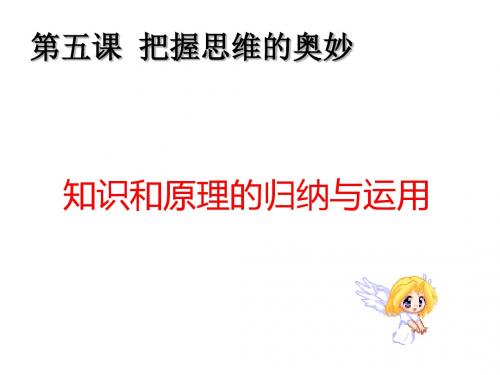 第五课知识归纳与运用