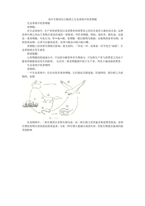 初中生物知识点梳理之生态系统中的食物链