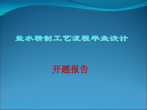 一次盐水精制工艺-精品文档