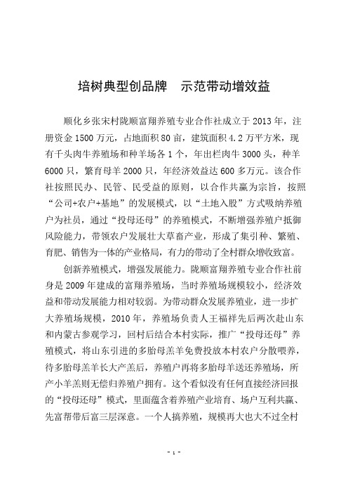 专业合作社典型材料