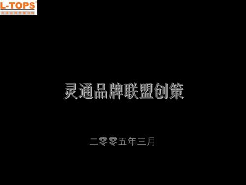 康师傅冰力先锋促销计划执行细案 精品