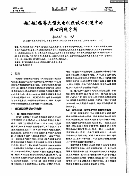 超(超)临界大型火电机组技术引进中的核心问题分析