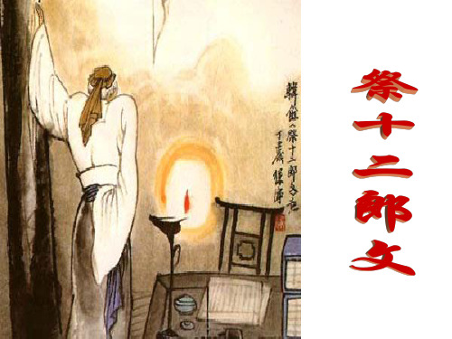 《祭十二郎文》课件4(简介、解题、注音、翻译)