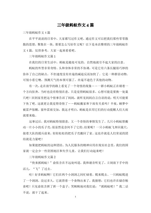 三年级蚂蚁作文4篇