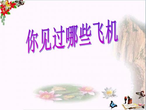 你见过哪些飞机 PPT优秀课件3