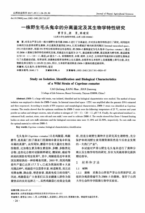 一株野生毛头鬼伞的分离鉴定及其生物学特性研究