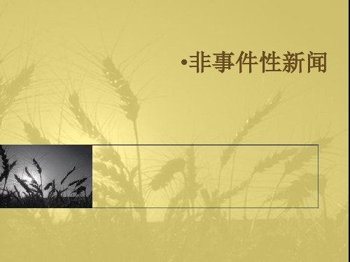 非事件性新闻