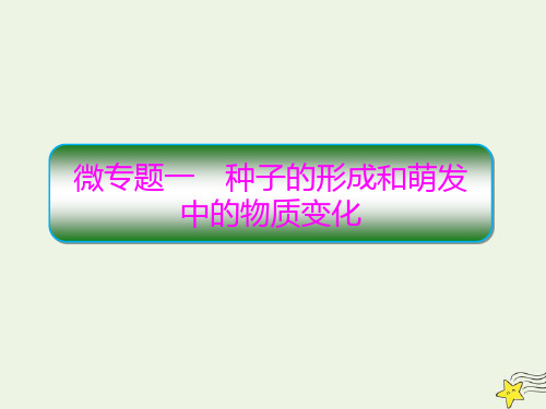 2020高考生物二轮复习专题一细胞的分子组成、结构和功能微专题1种子的形成和萌发中的物质变化课件