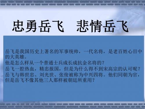 岳飞 (1)