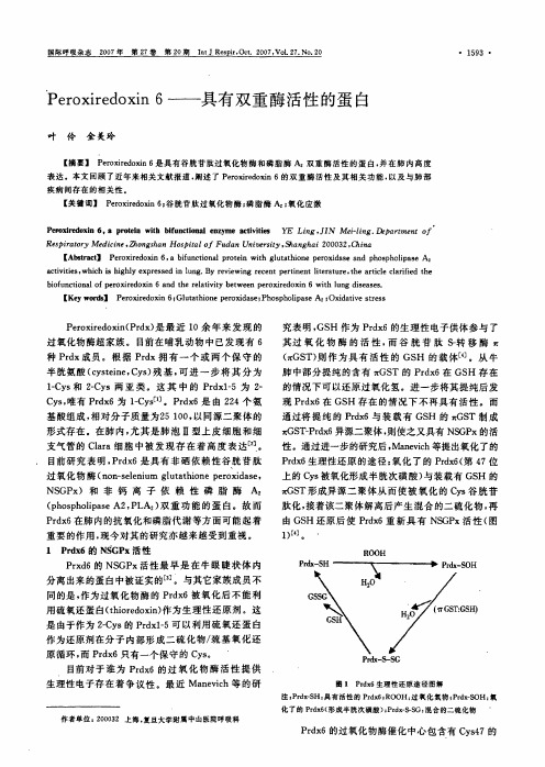 Peroxiredoxin_6——具有双重酶活性的蛋白