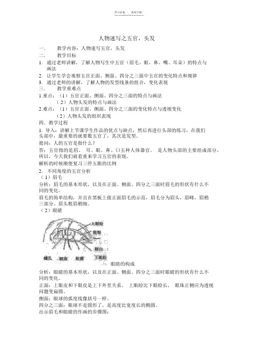 五官,头发教案